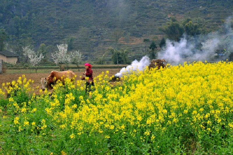 du lich ha giang thang 2 co gi dep hinh 1