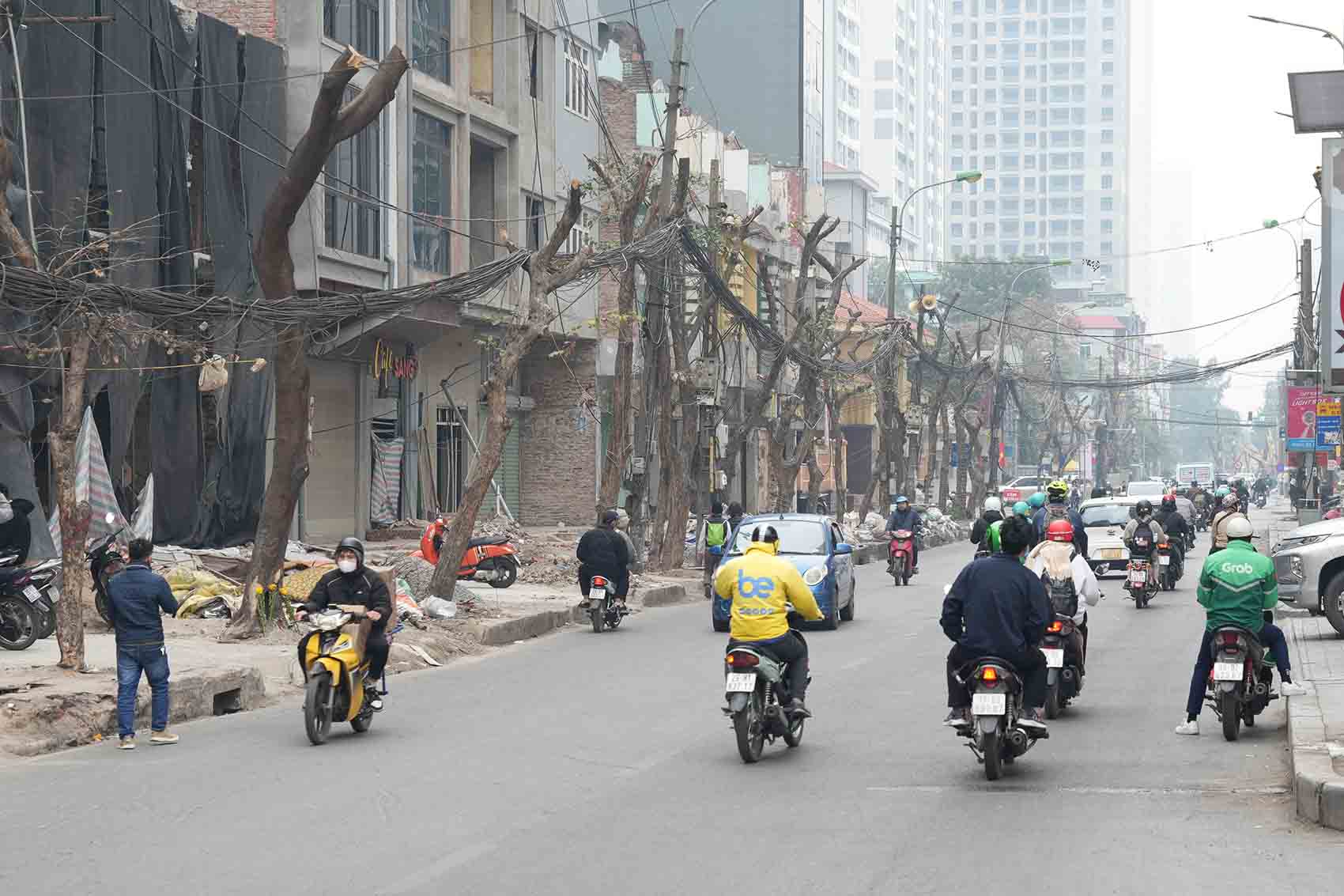 Loạt cây xanh được PV. Ảnh: Hữu Chánh
