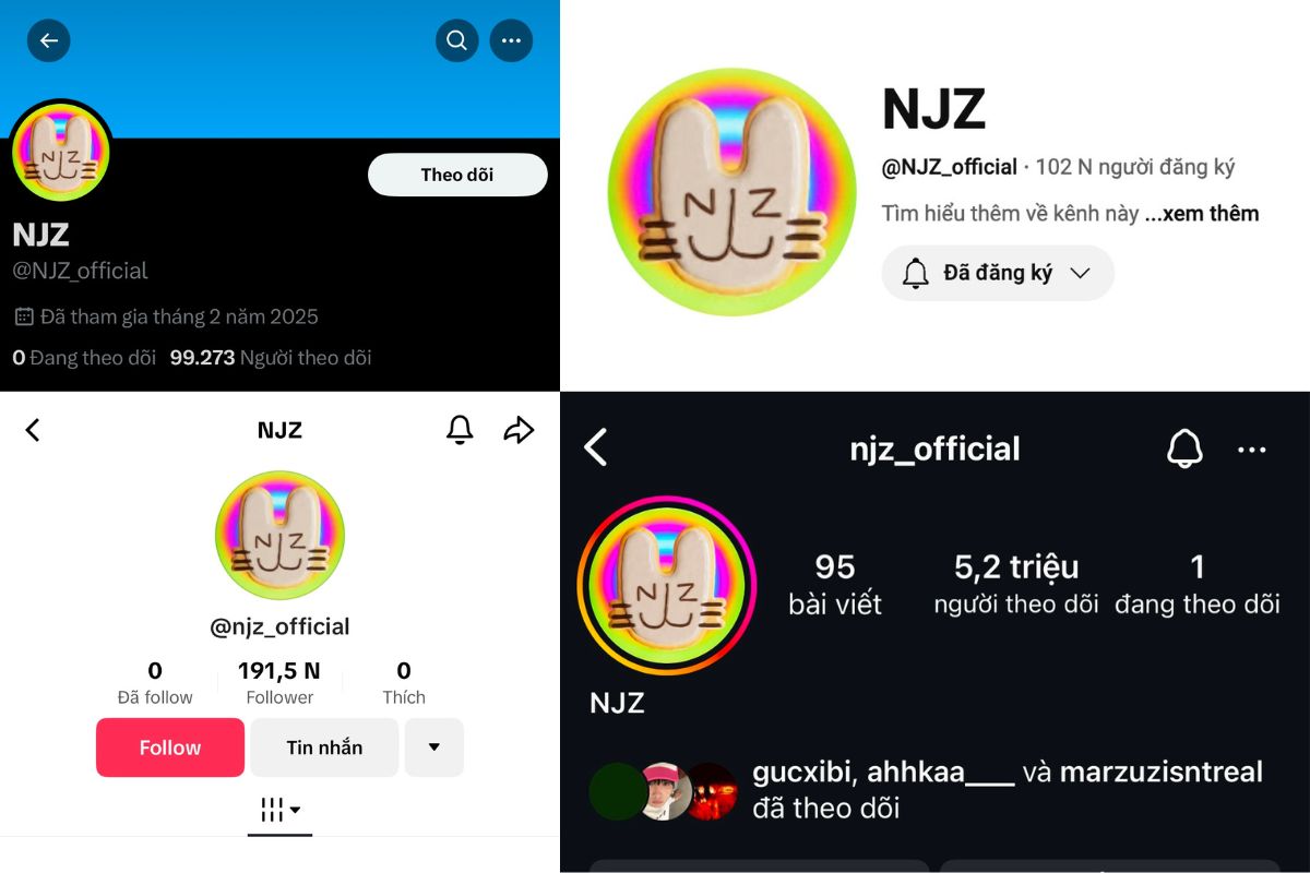 NJZ hiện có tài khoản chính thức trên 4 nền tảng Twitter, YouTube, TikTok, Instagram. Ảnh: X