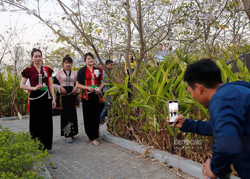 Người dân, du khách hào hứng chụp hình hoa ban trắng.