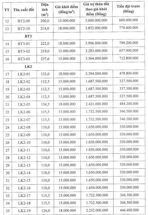 Thông tin một số thửa đất trong phiên đấu giá ngày 29.3. Ảnh chụp màn hình