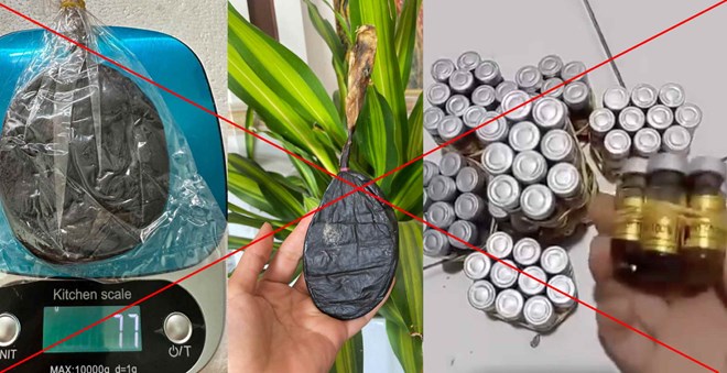 Cảnh báo lừa đảo đầu tư buôn bán động vật hoang dã