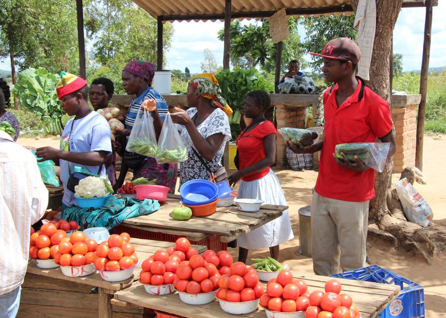 cong-chuc-zimbabwe-lam-them-chui-3.jpg