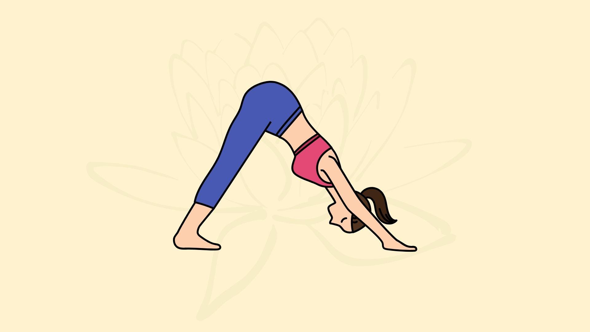 Tư thế chó úp mặt (Adho Mukha Svanasana). Đồ họa: Đinh Đinh