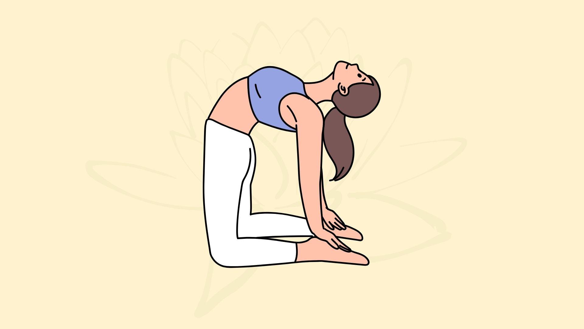 Tư thế lạc đà (Ustrasana). Đồ họa: Đinh Đinh