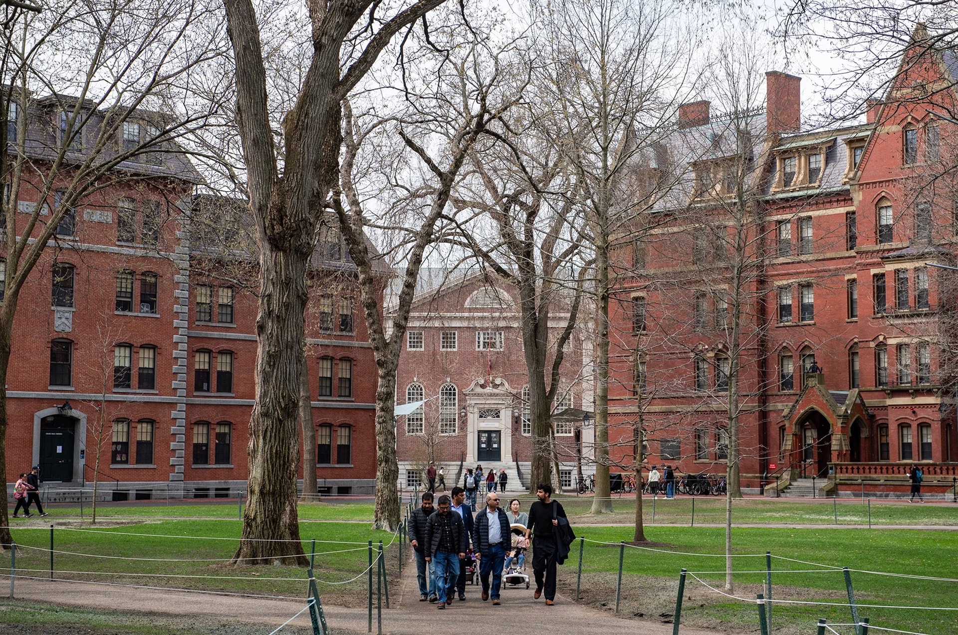 harvard_23.jpg