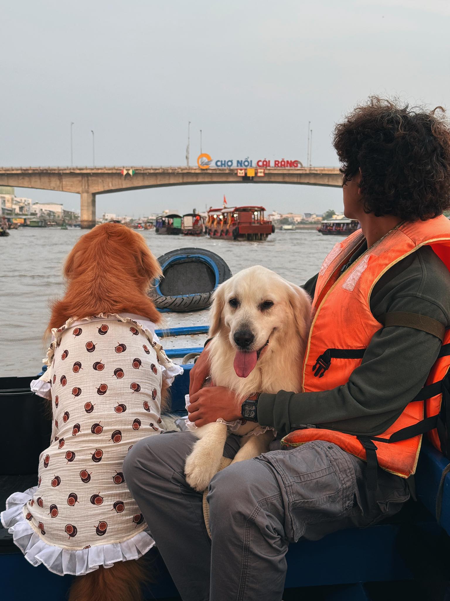 Bình nhận nuôi hai chú chó golden Bông và Bụp từ năm 2019 khi mới lên Đà Lạt khởi nghiệp. Công việc chụp ảnh cũng tạo cơ hội cho Bình đưa chó cưng đi cùng khám phá các vùng đất mới. Chuyến xuyên Việt lần này không chỉ là cơ hội tới nơi mới, ngắm cảnh mới mà còn giúp Bình thực hiện ước mơ cho Bông và Bụp check-in khắp Việt Nam. Trên hình là bộ ba đi chợ nổi Cái Răng, Cần Thơ.
