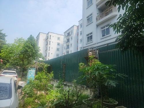 Chung cư tái định cư bỏ hoang người dân tận dụng đất trống để trồng rau. Ảnh: Minh Hạnh