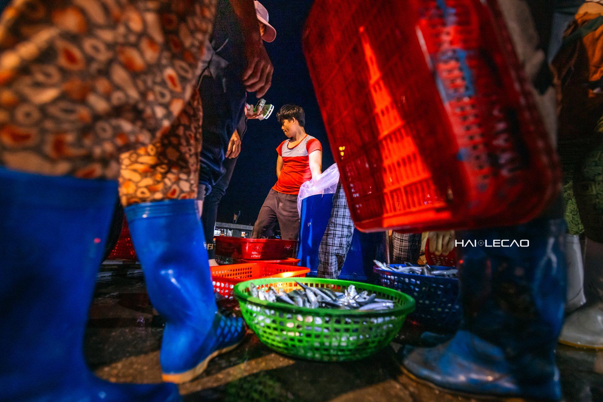 Ảnh: Lê Cao Hải