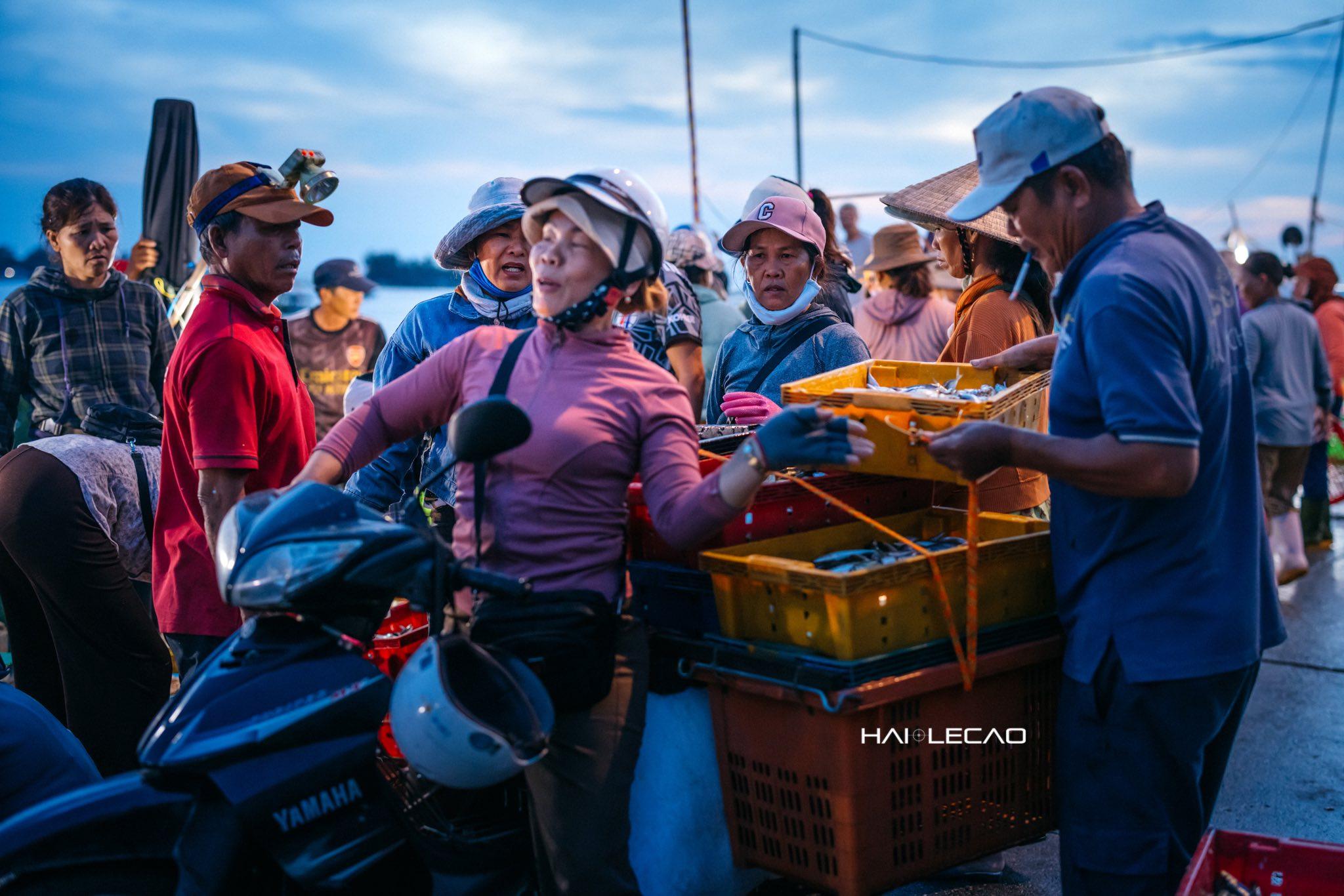 Ảnh: Lê Cao Hải