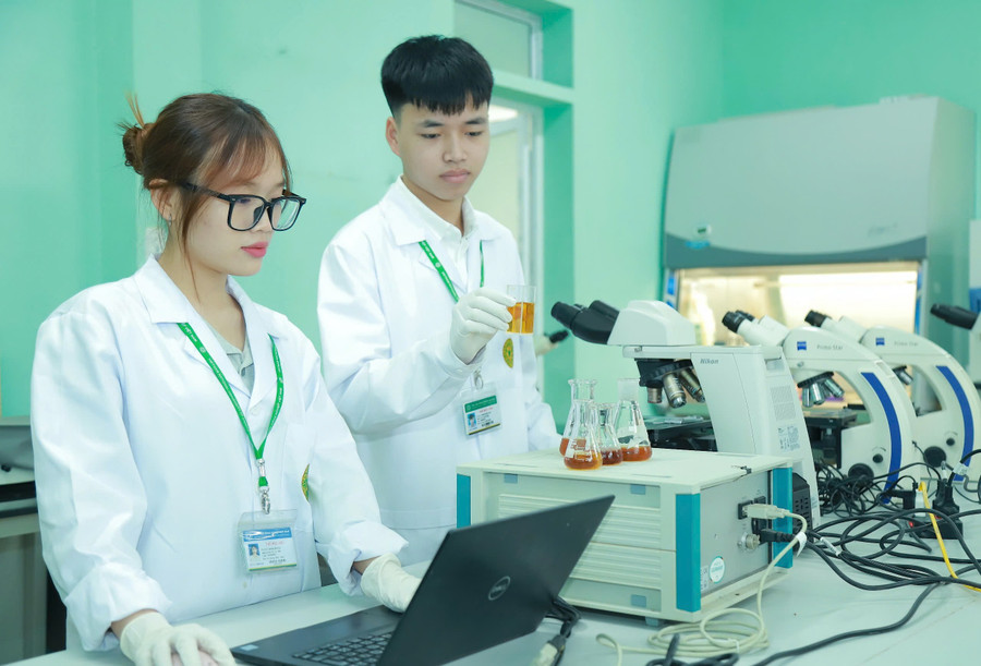 Sinh viên Học viện Nông nghiệp Việt Nam thực hành trong phòng thí nghiệm. Ảnh: NTCC