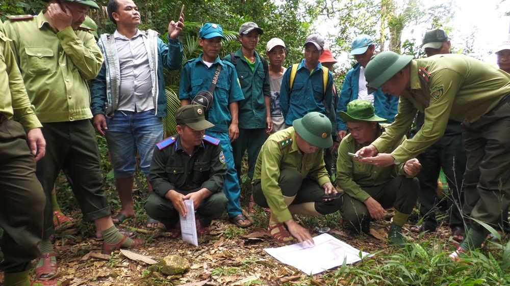 Quản lý, bảo vệ rừng trên không gian số - ảnh 3