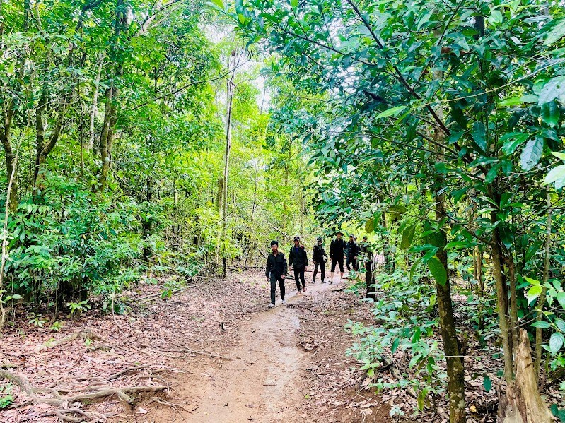 Quản lý, bảo vệ rừng trên không gian số - ảnh 2