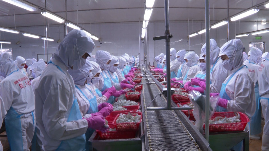 Thủy sản là một trong những ngành hàng chủ lực của tỉnh Cà Mau. (Ảnh: Quách Mến)