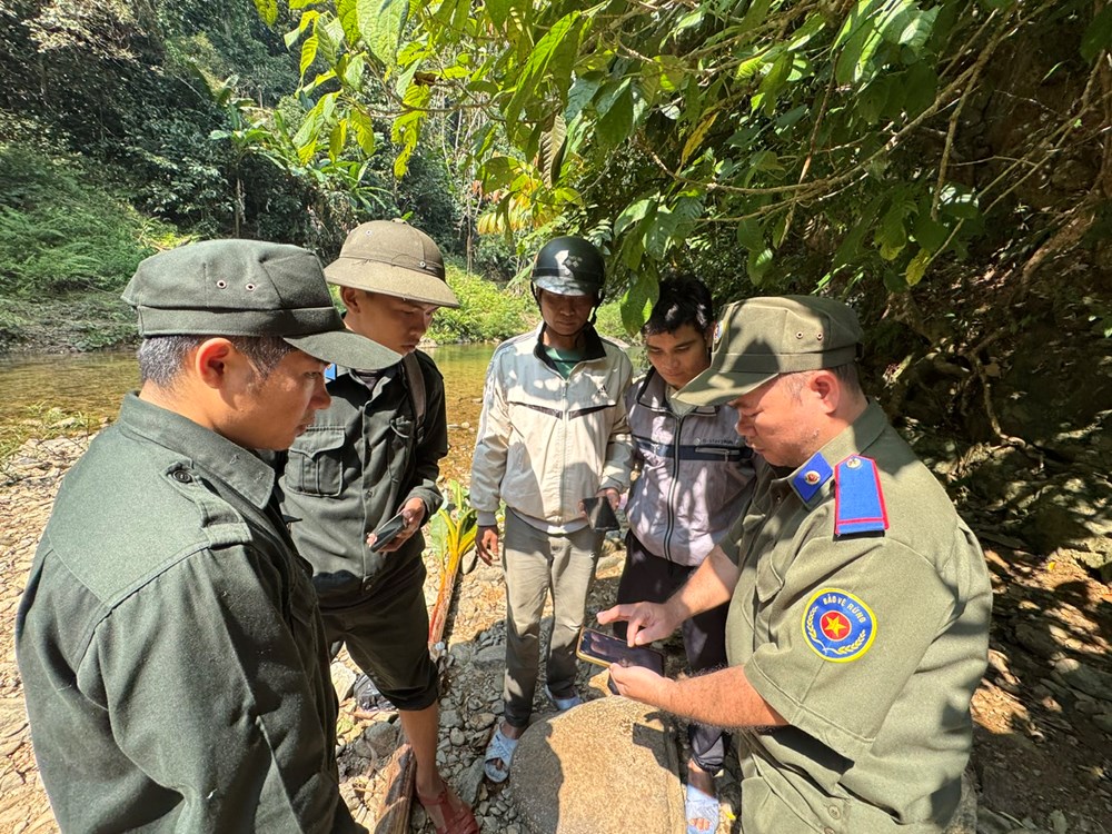 Quản lý, bảo vệ rừng trên không gian số - ảnh 1