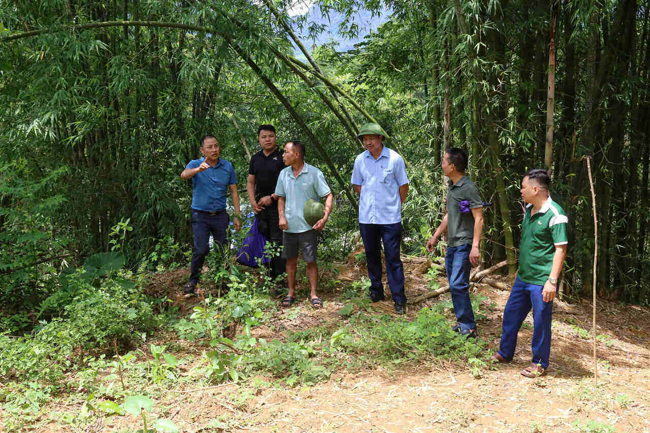 Chính quyền địa phương khảo sát vị trí xuất hiện vết nứt tại xóm Bãi Khoai. Ảnh: Bình Khang