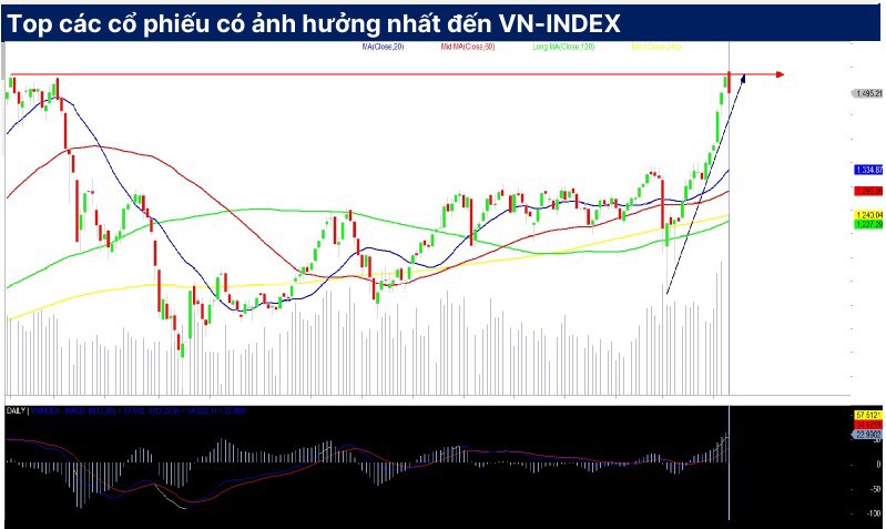 Nguồn: SHS Research
