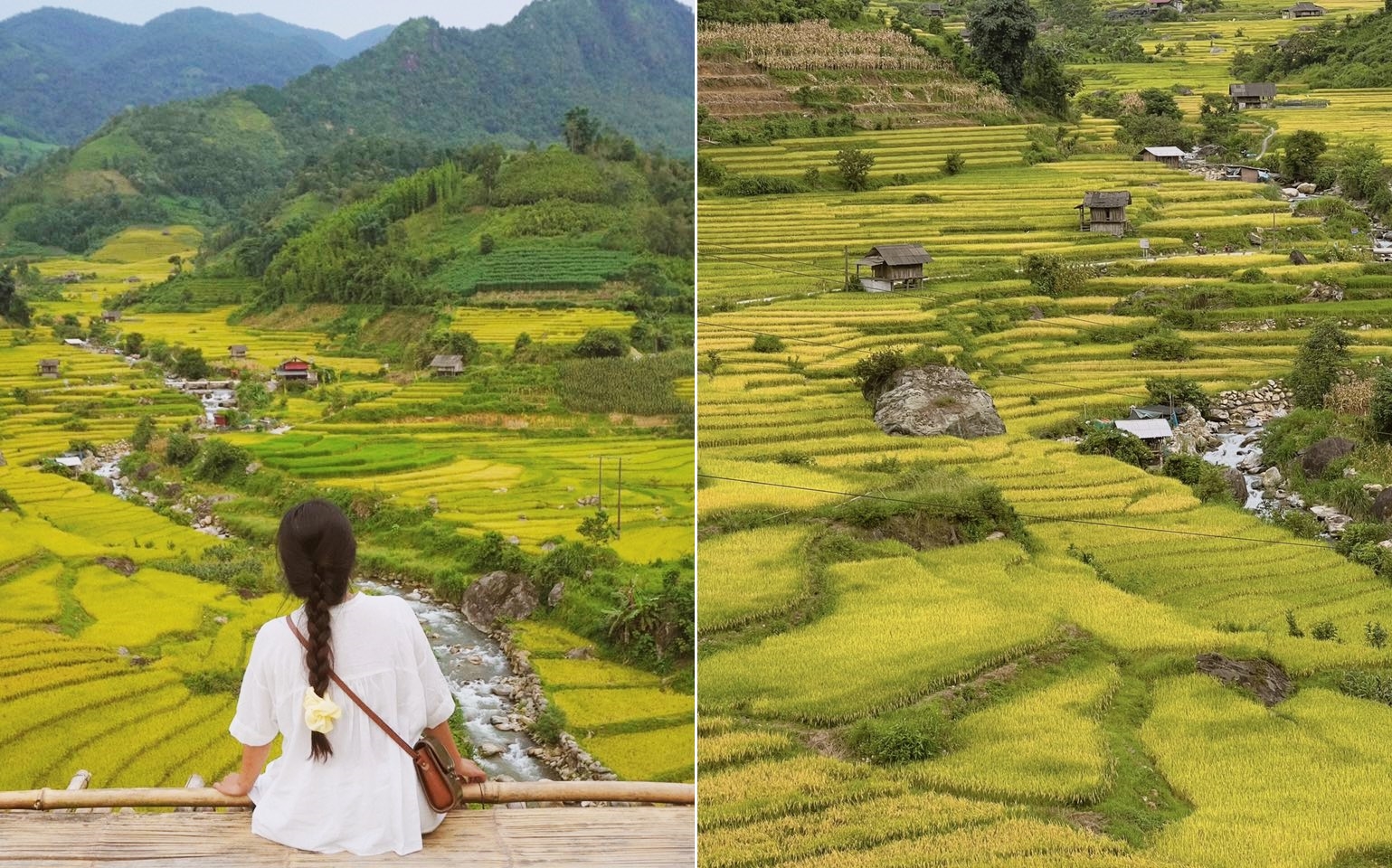 So với các bản Tả Van - Lao Chải hay Cát Cát, Nậm Cang không quá gần trung tâm Sa Pa và còn giữ nhiều nét đẹp hoang sơ. Những thửa ruộng bậc thang không rộng mênh mông mà hẹp và cao, điểm xuyết những lều trông lúa của dân địa phương.