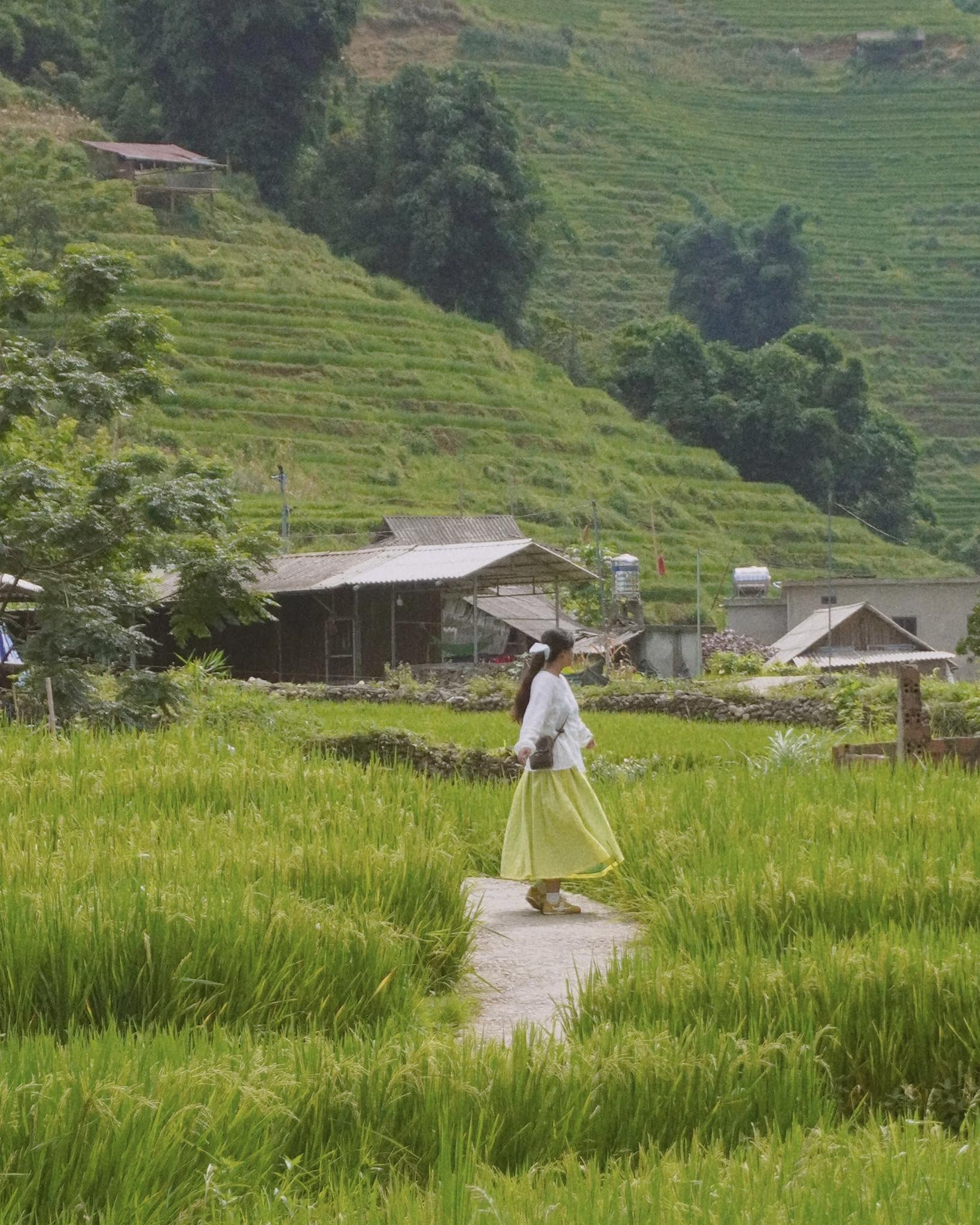 Lao Chải cách trung tâm Sa Pa khoảng 7km là nơi cư trú của đồng bào HMông, Dao... Lao Chải cùng Tả Van là hai bản làng lớn được ôm trọn bởi hai dãy núi Hoàng Liên Sơn và Hàm Rồng. Du khách đến Lao Chải chỉ cần đi bộ trekking hoặc thuê xe máy đến, lang thang các cung đường mòn. Mùa này những thửa ruộng ở Lao Chải đang xanh mướt mắt, cảnh thiên nhiên hòa trộn nhịp sống yên bình làm say lòng du khách phương xa.