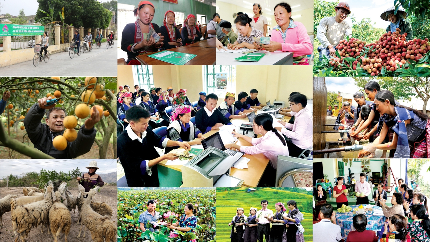 Ảnh minh hoạ. Nguồn: Internet