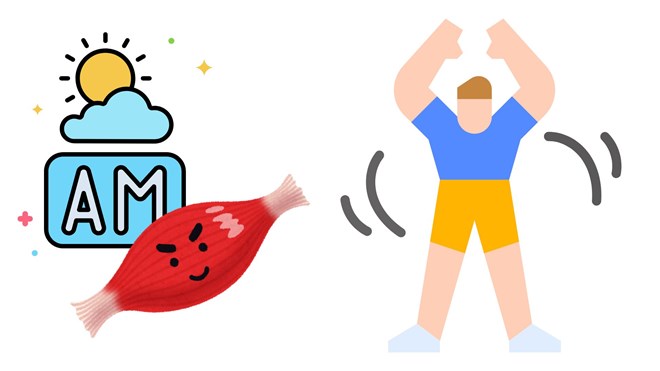 Bài tập buổi sáng giúp giảm mỡ lưng trong 1 tháng