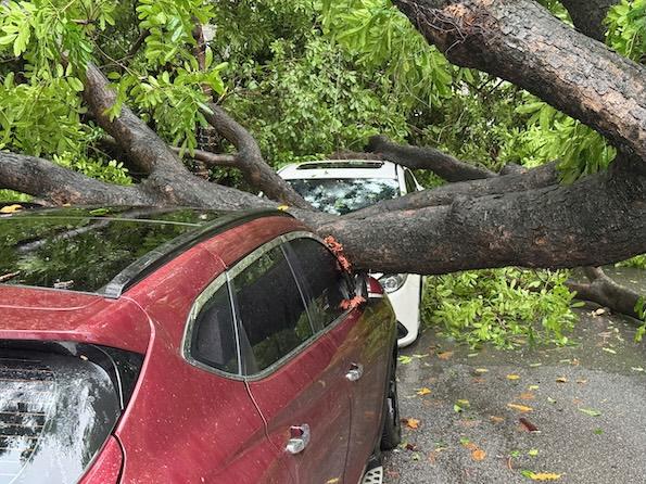 Theo Trung tâm dự báo khí tượng thuỷ văn Quốc gia, hôm nay Hà Nội nhiều mây, có mưa vừa, mưa to và dông, cục bộ có nơi mưa rất to; từ chiều mưa giảm dần. Gió đông nam đến đông cấp 2-3. Trong mưa dông có khả năng xảy ra lốc, sét và gió giật mạnh.