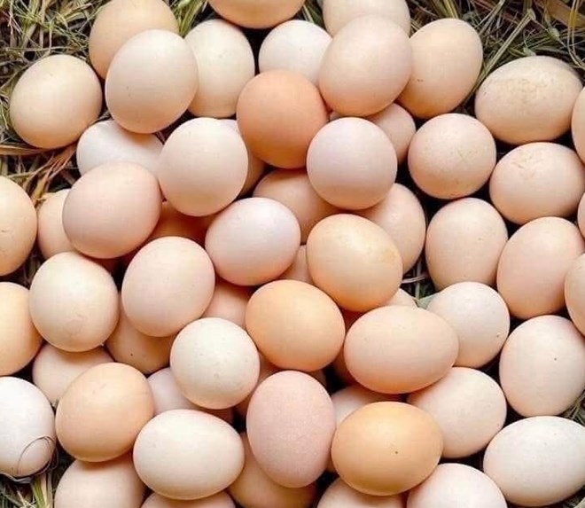 Bật mí cách đào thải mỡ nội tạng bằng trứng