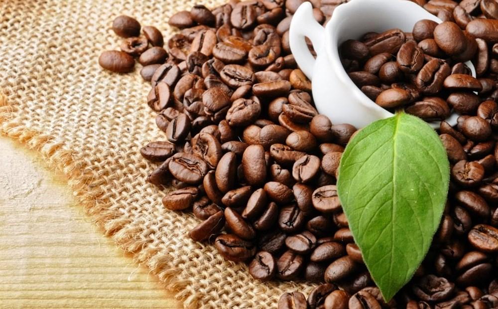 Giá cà phê hôm nay 10.9.2025: Trong nước giữ giá, quốc tế trái chiều - ảnh 1