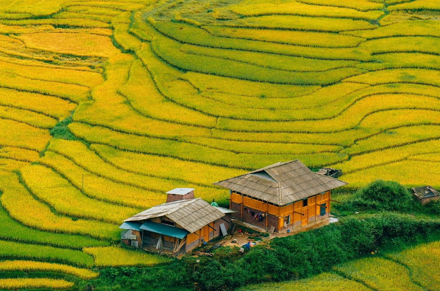 Một trong các điểm dừng chân nổi bật của Sa Pa là khu vực Tả Van, thung lũng Mường Hoa. Giữa mênh mông những dải ruộng bậc thang là điểm xuyết các nếp nhà sàn, homestay, chòi trông lúa của người dân địa phương.