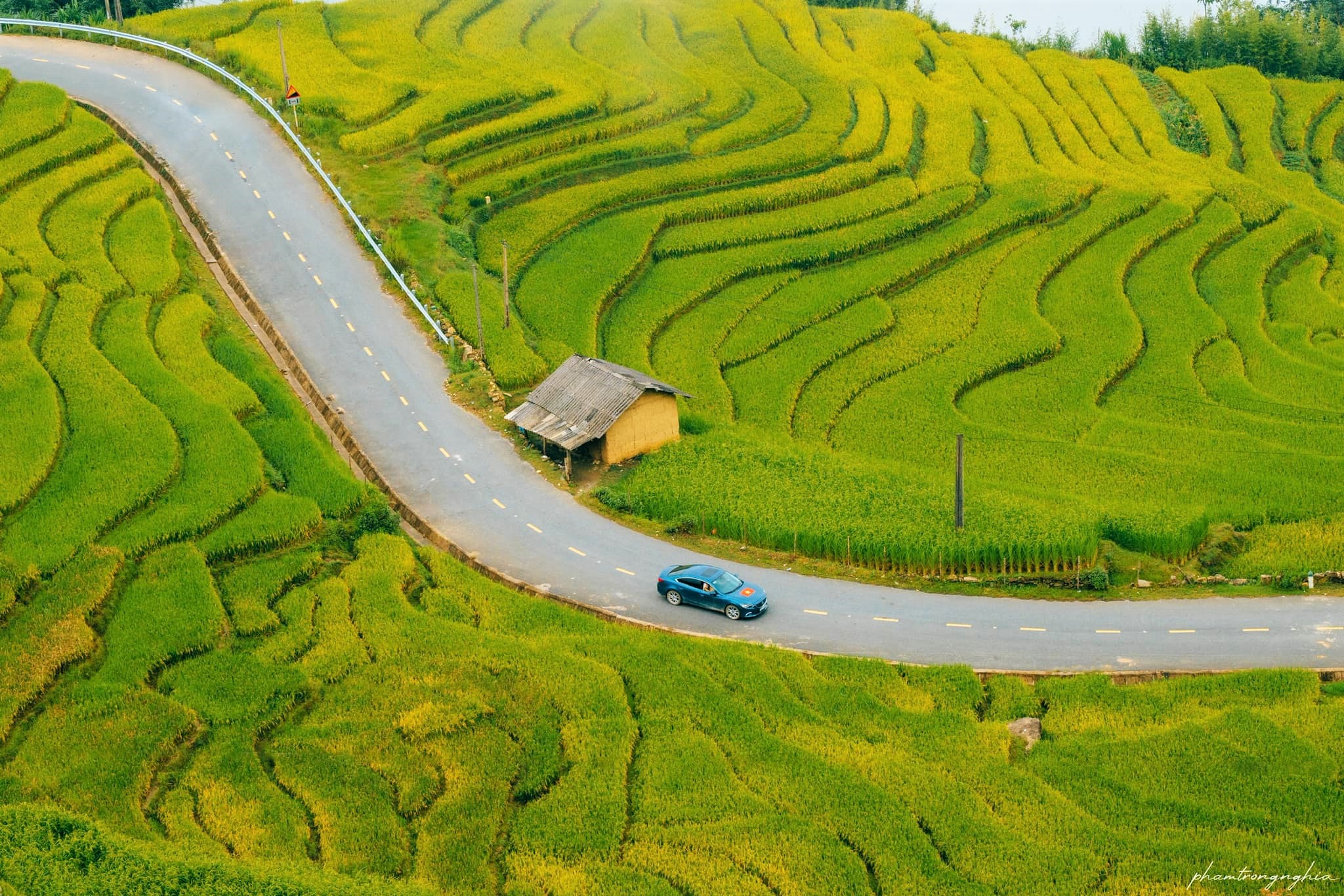 Dù lúa ở Y Tý chín muộn hơn so với Sa Pa nhưng du khách muốn ngắm mùa lúa chín đẹp và đều thì đừng chần chừ mà hãy lên đường ngay.