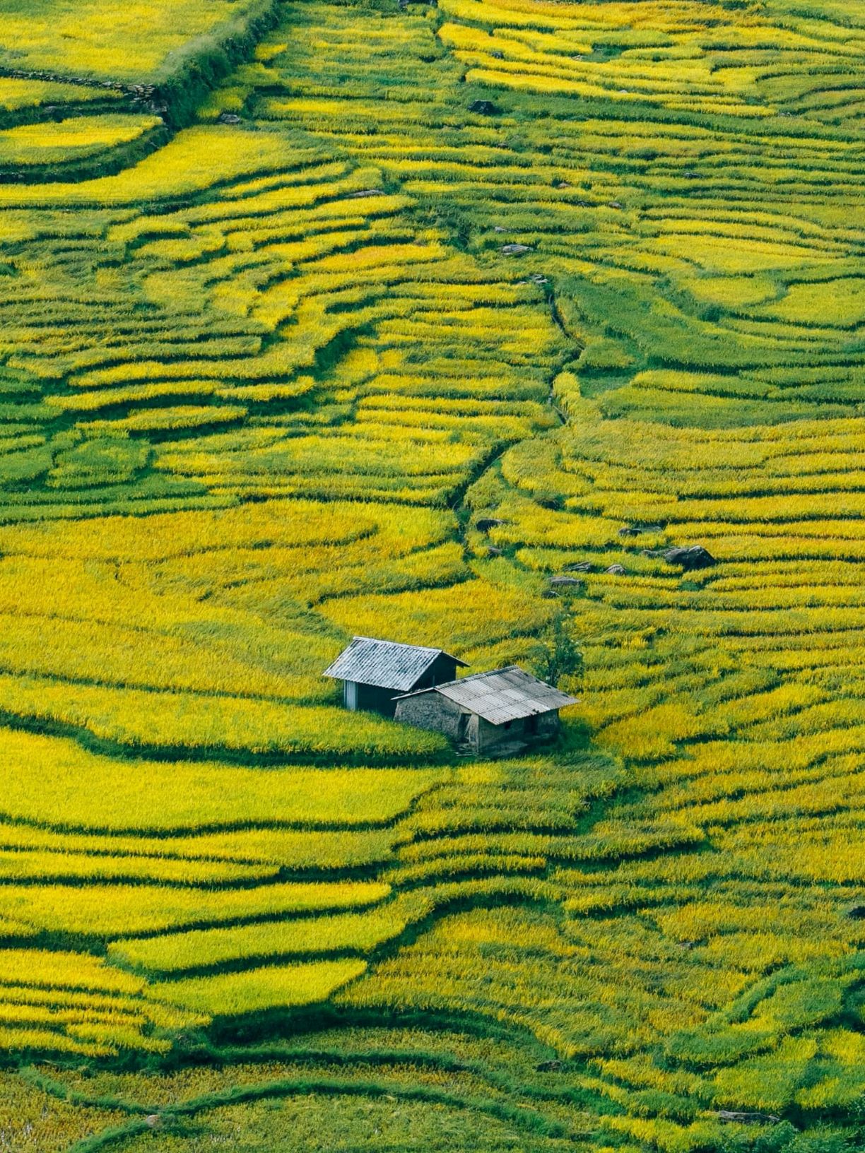 Kể về lịch trình ở Lào Cai, anh Trọng Nghĩa sau khi ở Tả Van, Sa Pa thì phượt xe máy từ Sa Pa lên Y Tý. “Cung đường này hơi xấu, tôi phải tốn hơn 4 tiếng chạy xe, đường nhiều đá và có bùn lầy. Tuy đường xấu, nhưng đến Y Tý thì cảnh quan để lại nhiều ấn tượng khó quên, với vẻ hoang sơ và bình yên“.