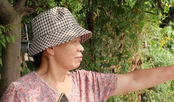 Cá chết bốc mùi nồng nặc, người dân sợ không dám đi tập thể dục quanh hồ