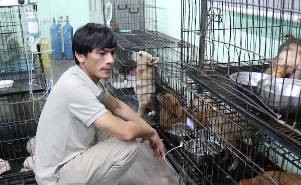 Anh Trần Minh Quang, người sáng lập trạm cứu hộ Sân nhà nhiều chó. Ảnh: Mỹ Linh