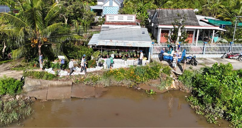 Bốn điểm sạt lở trên địa bàn xã Cái Ngang với tổng chiều dài khoảng 80m, uy hiếp nhà cửa và đường đi của người dân. Ảnh: Hoàng Lộc