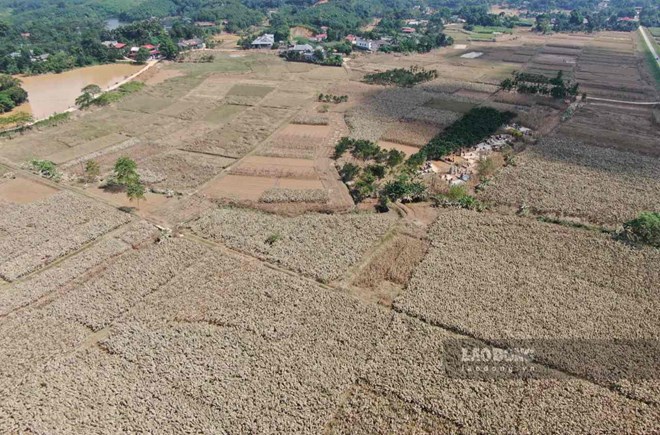 Lào Cai vẫn ngổn ngang bùn đất và nỗi lo sinh kế sau lũ