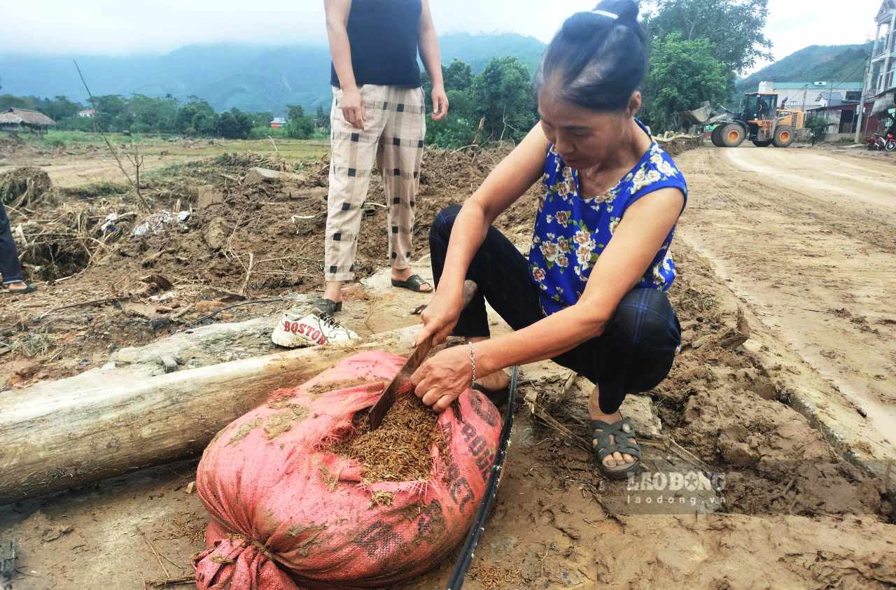 Bà con mót lại từng bao thóc bị lũ quét để tận dụng. Ảnh: Văn Đức