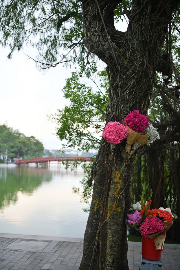 Sắc màu mùa Thu Hà Nội. Ảnh: Việt Văn