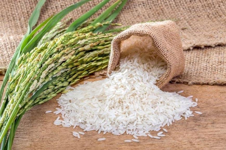 Giá lúa gạo hôm nay trong nước ghi nhận diễn biến trái chiều, điều chỉnh 50 – 200 đồng/kg