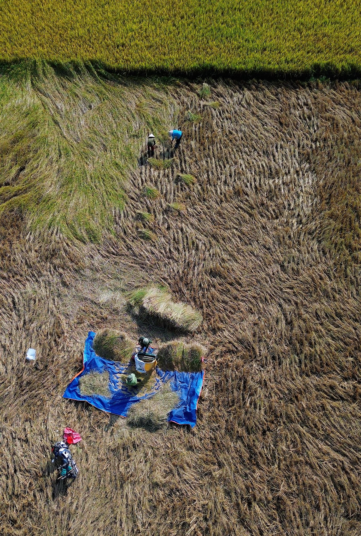 Những ngày mùa thu thanh bình này, ban ngày tới làng Quỳnh Sơn du khách đi bộ, đạp xe quanh làng dạo chơi, ngắm lúa chín trải thảm khắp nơi hoặc thử sức làm nông dân tham gia gặt lúa. Buổi tối đến tổ chức lửa trại, ngắm sao, lắng nghe những làn điệu hát Then truyền thống.