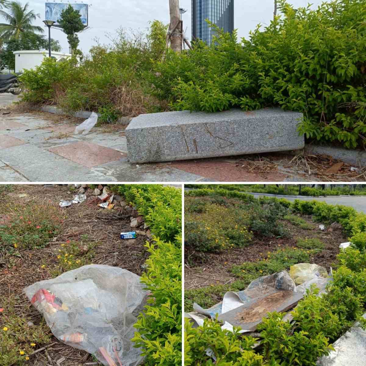 Rác thải tràn lan ở nhiều bồn cây, tiểu cảnh, tạo khung cảnh thêm nhếch nhác.