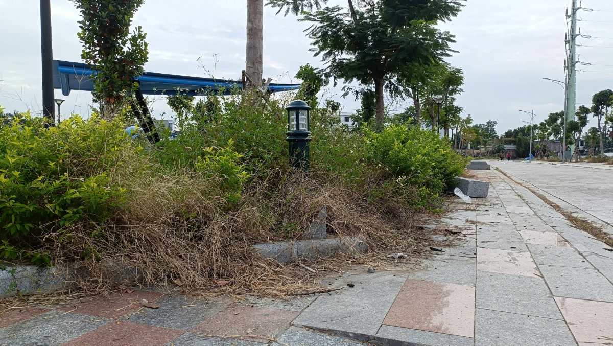 Khung cảnh nhếch nhác khó tin ở công viên 135 tỉ đồng. Ảnh: Mai Dung