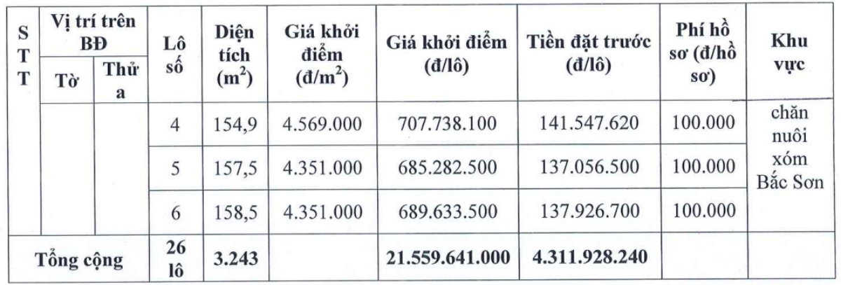 Thông tin phiên đấu giá 26 lô đất tại xã Vạn Thắng, tỉnh Ninh Bình. Ảnh: Công ty Đấu giá Hợp danh Xuân Trường
