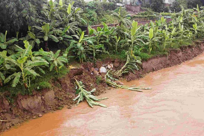 Liên tiếp xảy ra sạt lở bờ sông Hồng ở Phú Thọ