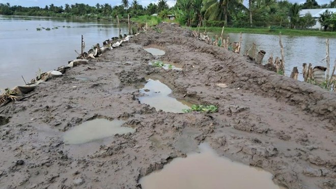 Trễ hẹn khắc phục sạt lở đê bao sông Măng, người dân lo khi triều cường sắp đến