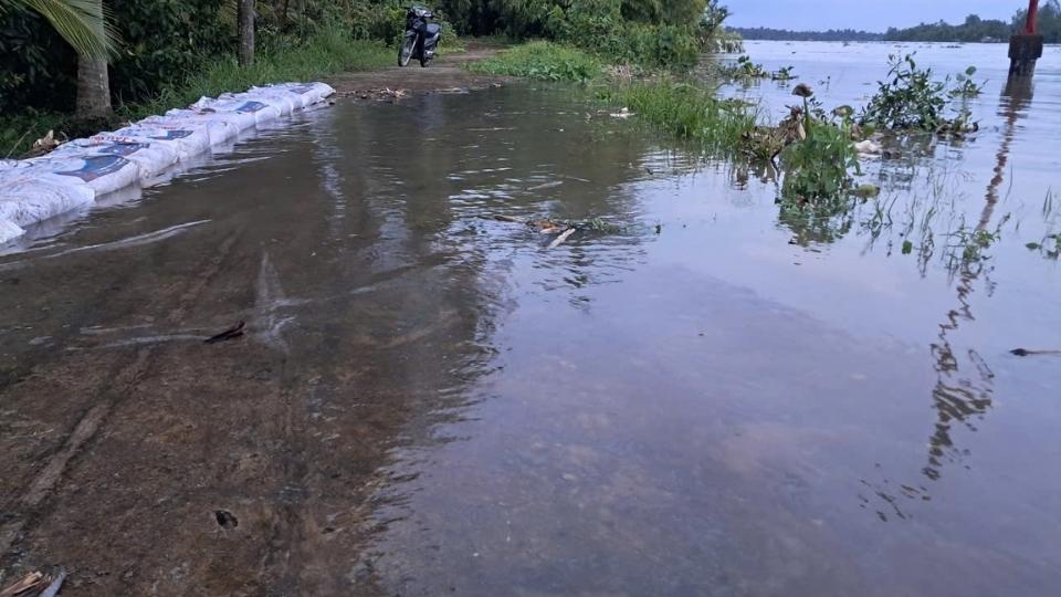 Nước tràn qua đoạn sạt lở đê bao Sông Măng tại xã Tân Long Hội, làm người dân lo lắng bảo vệ ao cá và vườn cây. Ảnh: Hoàng Lộc