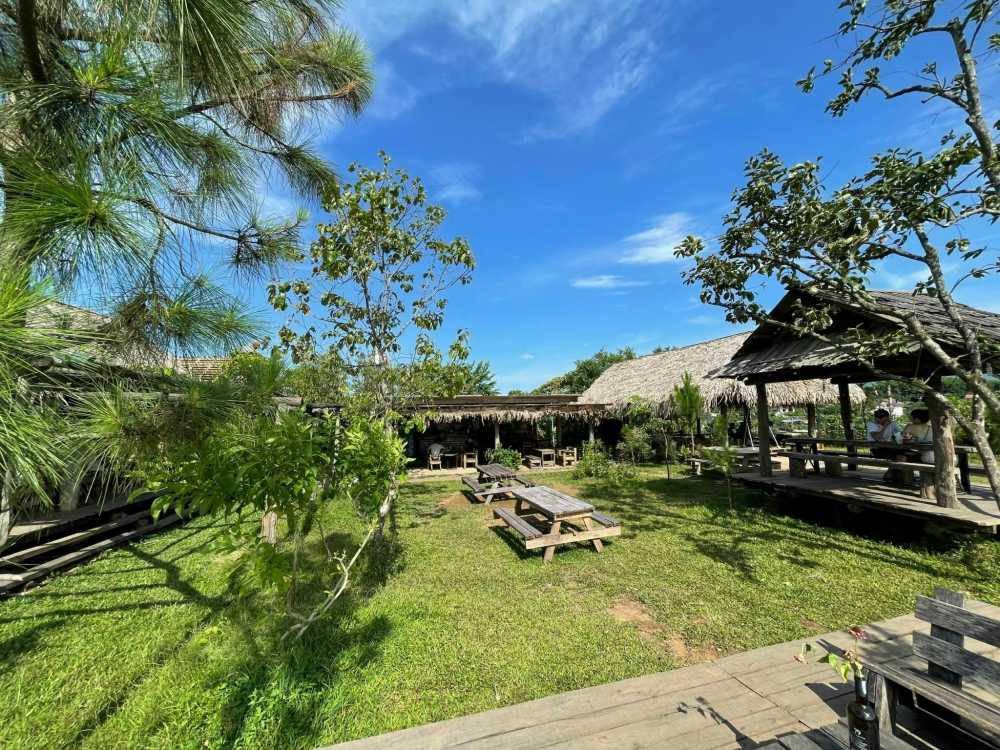 Không gian xanh mát, khoáng đạt ở East Hill.