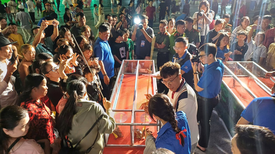 Cuộc thi Đường đua cua huyền thoại. 583846482-1389777422524129-5504495701545342235-n.jpg