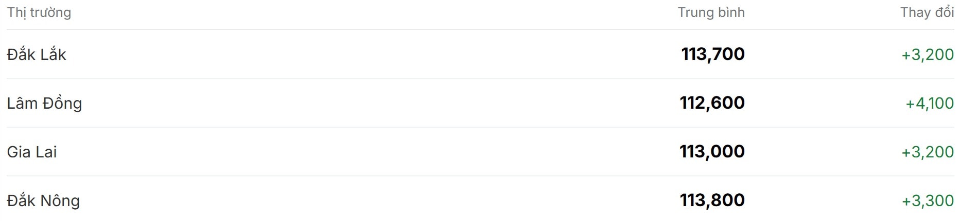 Giá cà phê hôm nay 19 11 Tăng mạnh trở lại trên toàn khu vực