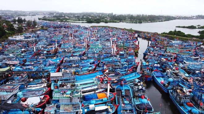 Các cảng cá ở Quảng Ngãi chật kín tàu cá nằm bờ. Ảnh: Viên Nguyễn
