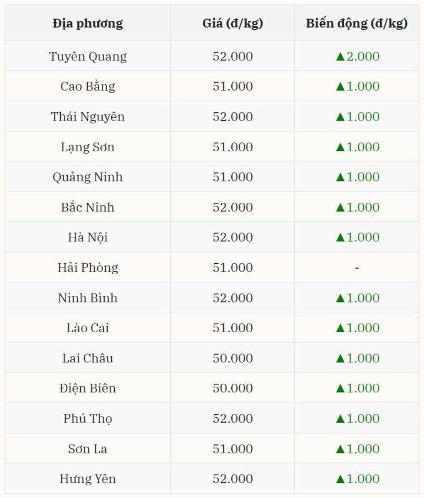 Giá heo hơi miền Bắc tăng tại nhiều tỉnh, thị trường tiếp tục ghi nhận biến động tích cực